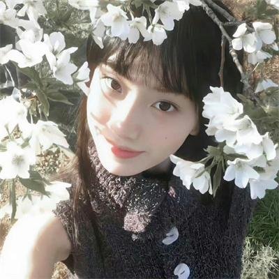 长毛狗